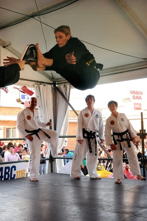 Bai Rui Taekwon-Do Pic 2