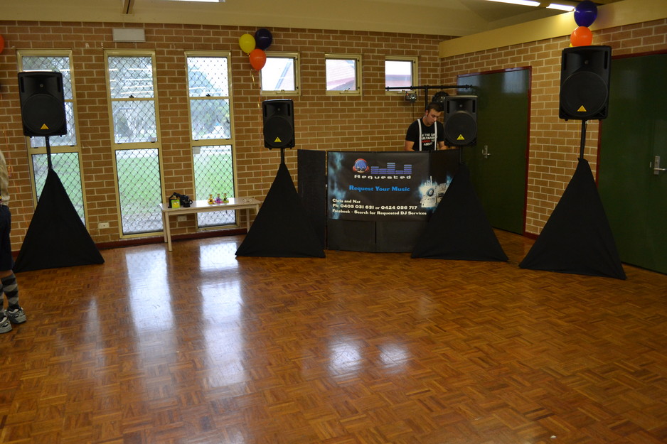 Requested DJ Services Pic 1