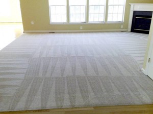 Sparkling Carpet Cleaning Pic 3