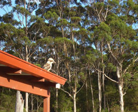 Tinglewood Cabins Pic 1 - Tinglewood Cabins Walpole Western Australia