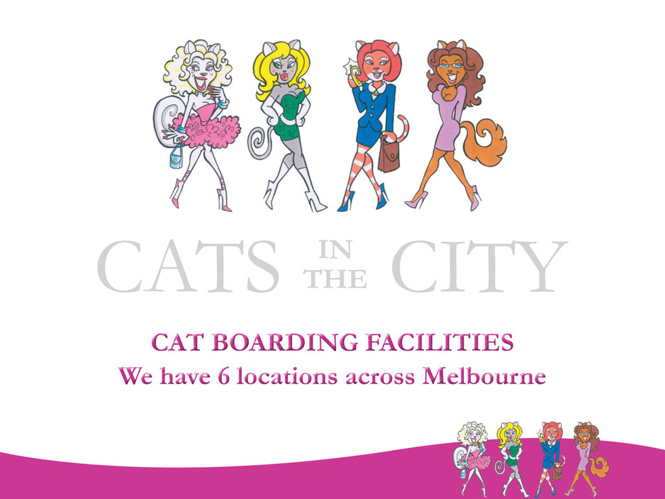 Cats in the City Cattery - Manningham Pic 1