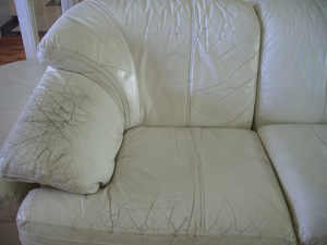 Devine Leather Care Pic 3 - before clean tint