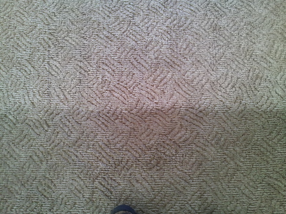 Advanced Carpet Care Pic 1