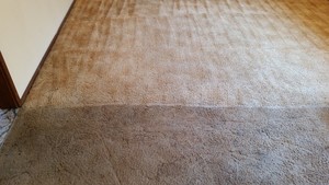 Advanced Carpet Care Pic 3