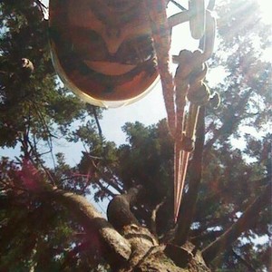 Tyson's Tree Surgery Pic 4