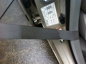 QCC Platinum Pic 2 - Grease Stain on Carseat Belt