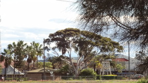 Dalby Self Contained and Serviced Apartments - Accommodation Pic 3 - View from the Front Deck to start of the North Eastern End of Main Street Park Shopping Center and the start of Beautiful Nature Walking Track Contact OwnerManager Deb Gough