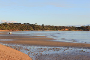 Whitecliffs to Camerons Bight Foreshore Reserve Pic 3 - Beach Access