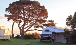 Whitecliffs to Camerons Bight Foreshore Reserve Pic 2 - Camping