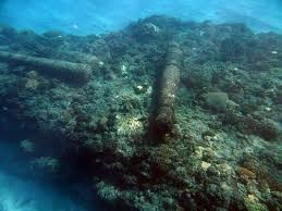 Underwater Drones Gold Coast Pic 1 - exploring the ocean depths with Power Ray underwater drone