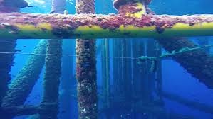 Underwater Drones Gold Coast Pic 4 - underwater pipe complex