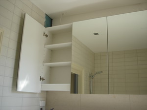 Go-Mez Constructions Pic 4 - balmain bathroom vanity