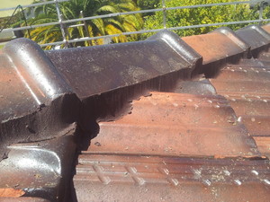 DryaZ Roof Tiling and Restoration Pic 3 - ridge repointed