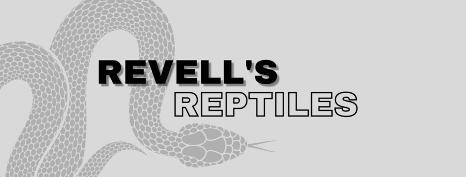 Revell's Reptiles Pic 1