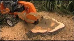 Tree Safe Solutions Pic 4 - Any Size And Shape Stump Removal