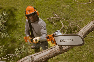 Tree Safe Solutions Pic 5 - Professional Tree And Stump Removal Service Working All Over Melbourne