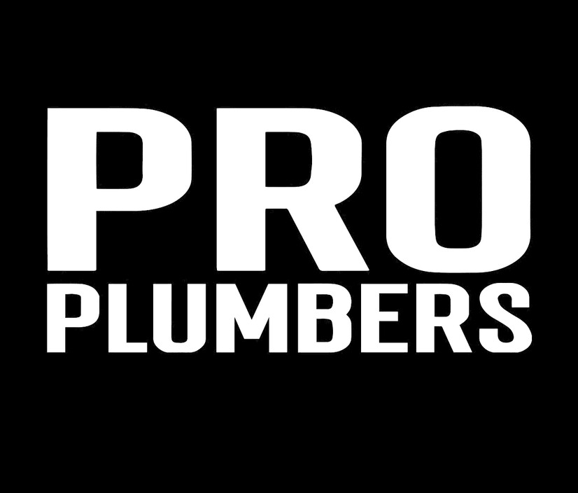 PRO PLUMBERS Pic 1