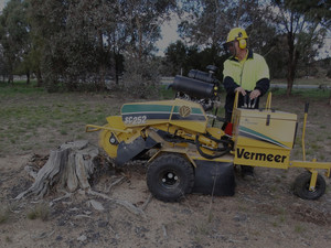 Aussie Stump Grinders Pic 3 - aussie stump grinders for canberra tree stump grinding