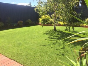 The Synthetic Grass Project Pic 3 - Artificial Grass Suppliers Melbourne