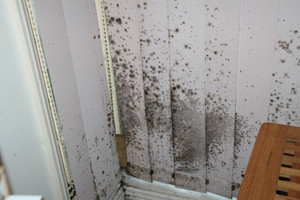 Central Coast Ventilation Pic 4 - Black Mould caused by Inadequate Ventilation