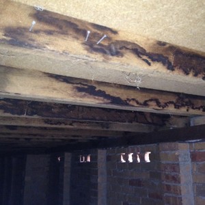 Central Coast Ventilation Pic 3 - Subfloor Moisture causes damage to the Wooden Structure