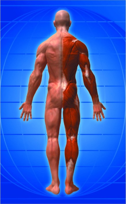 Northcoast Myopractic & Integrated Health Pic 1 - Northcoast Myopractic Posture is everything