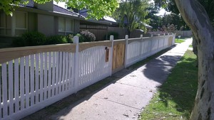 Hemmings Fencing Pic 2