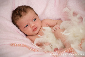 Champagne Portraits Pic 4 - Newborn Photography