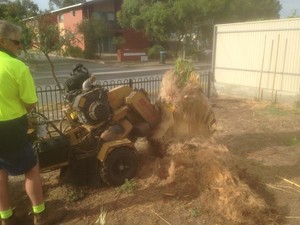 Jeffs Stumps Removals Pic 2 - Nearly there