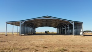 Evalasting Sheds Pic 3 - Large property shed