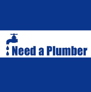 Need A Plumber? Pic 4