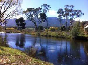 Tawonga Caravan Park Pic 4