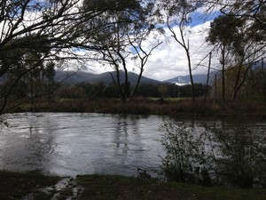 Tawonga Caravan Park Pic 3