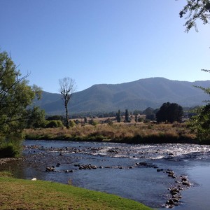 Tawonga Caravan Park Pic 2