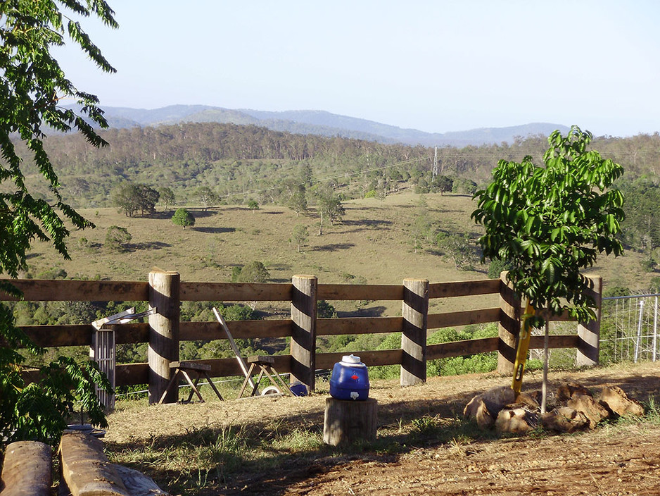 Gympie Slashing Pic 1