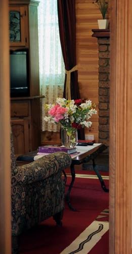 Blue Wren Riverside Cottage Pic 3 - Lounge Room With A Wood Heater