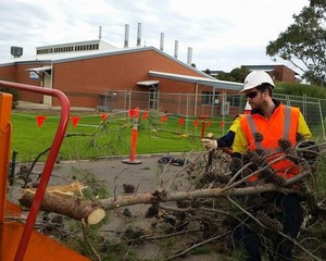 Ken-Well Tree Services Pic 2 - KenWell Tree Services