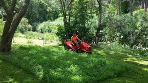 Good Deal Mowing Pic 2 - Ride on mower that can mulch or catch the grass