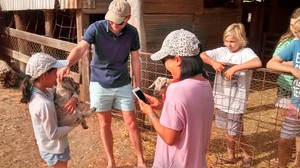 Kalbarri Wilderness Canoeing Pic 5 - Petting Zoo Murchison House Station