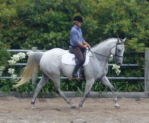 Taminga Equestrian Centre Pic 3