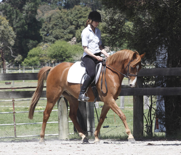 Taminga Equestrian Centre Pic 1