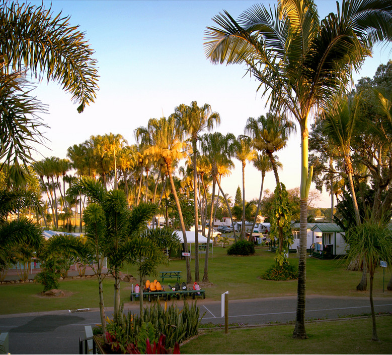 Big 4 Capricorn Palms Holiday Village Pic 1 - The pool area at Capricorn Palms Holiday Village