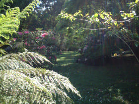 A Country House At Winstanley Pic 1 - GARDEN