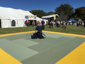 Bun Bu Ryo Do: The USQ Martial Arts CLub Pic 5 - Iaido at the Toowoomba Multicultural and Languages Festival 2016