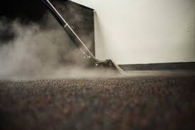 Carpet Cleaning Cronulla Pic 4