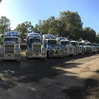 Lee's Transport Pic 3 - Fleet