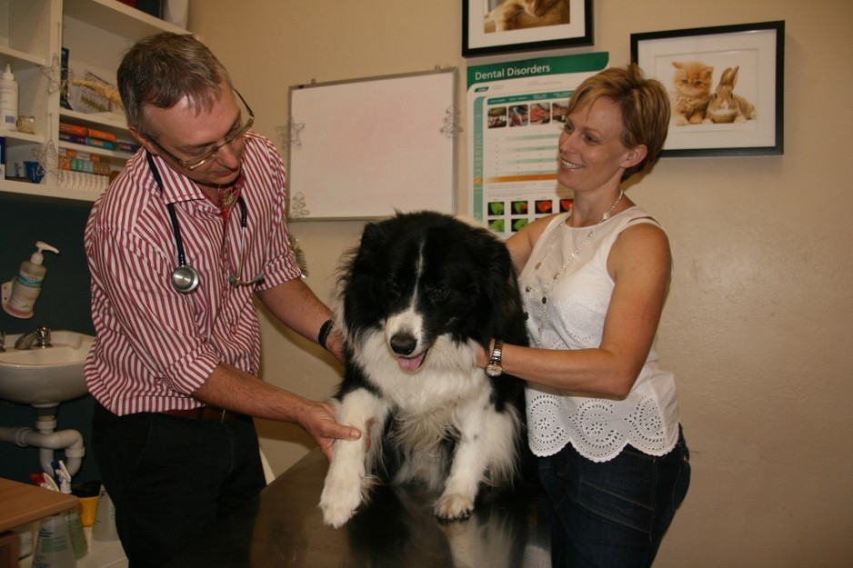 Blakehurst Vet Pic 1