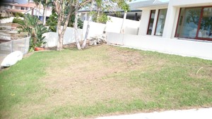 Gardeners Gold & Tweed Coast Pic 4 - Before 2112013