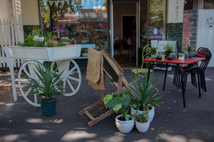 Nigelle's Flowers Pic 4 - Plants succulents and potted orchids