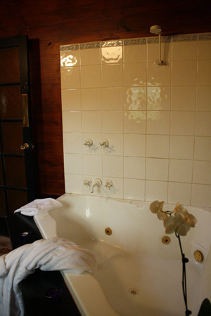 Ottery Cottage Pic 3 - Generous double spa